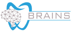 BRAINS S.R.L 社